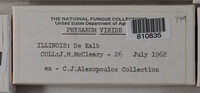 Image Associated With the Occurence